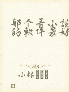 那个看小说免费的软件最好