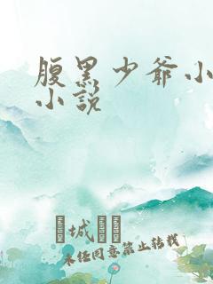 腹黑少爷小甜妻小说