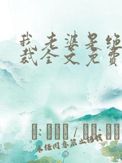 我老婆是绝色总裁全文免费阅读