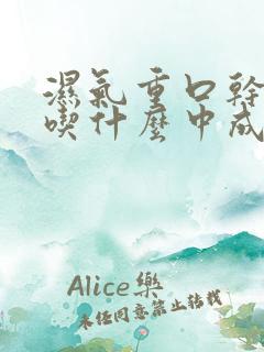 湿气重口干口苦吃什么中成药