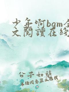 少年啊bgm全文阅读在线听