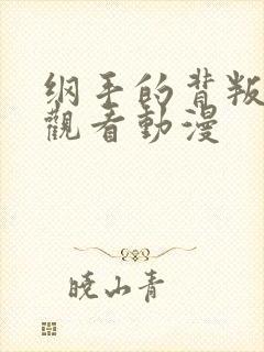 纲手的背叛免费观看动漫