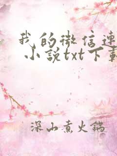 我的微信连三界 小说txt下载