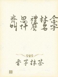 齐思礼林念小说叫什么名字