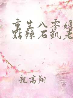 重生八零媳妇有点辣石凯老婆结局