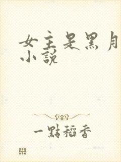 女主是黑月光的小说