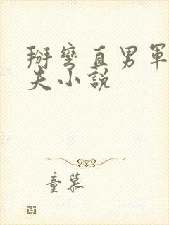 掰弯直男军官姐夫小说