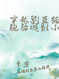 穿越刘亚楠带双胞胎逃难小说