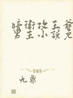 暗卫攻王爷受双男主小说免费阅读