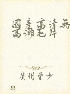 国产高清无遮挡高潮毛片