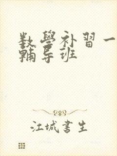 数学补习一对一辅导班