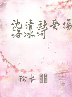 沈清秋受伤瞒着洛冰河
