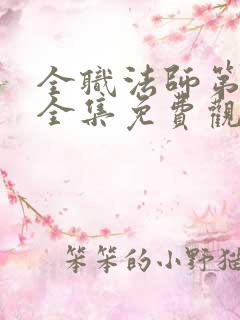 全职法师第二季全集免费观看高清