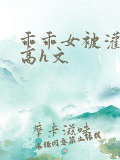 乖乖女被灌满精高h文