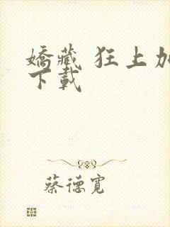 娇藏 狂上加狂下载