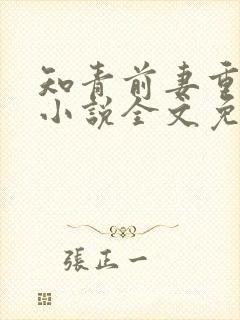 知青前妻重生了小说全文免费阅读