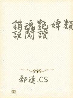 销魂艳婢类似小说阅读