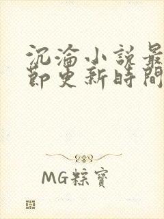 沉沦小说最新章节更新时间