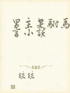 男主是驸马的古言小说