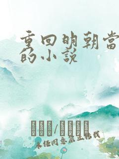 重回明朝当王爷的小说