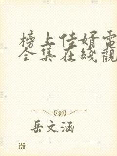 榜上佳婿电视剧全集在线观看免费