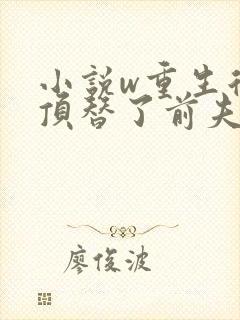 小说w重生后我顶替了前夫白月光,