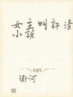 女主叫许清颜的小说