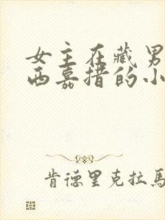 女主在藏男主扎西嘉措的小说