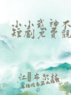 小小武神不好惹短剧免费观看