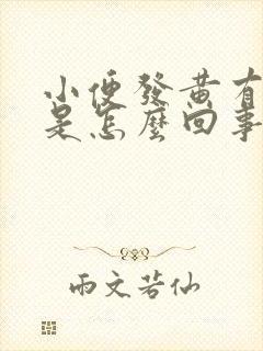 小便发黄有异味是怎么回事