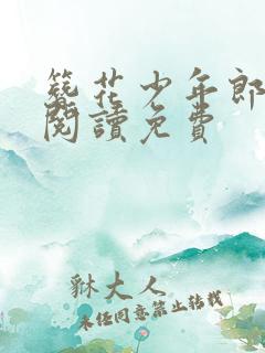 簪花少年郎小说阅读免费