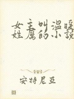 女主叫温暖男主姓厉的小说