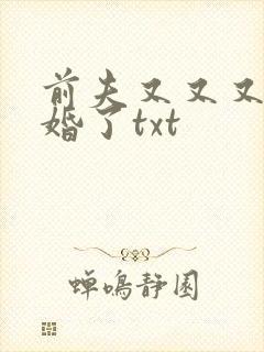 前夫又又又想复婚了txt