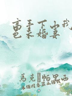 高手下山我的绝色未婚妻