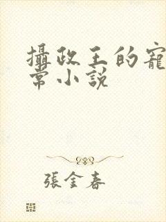 摄政王的宠妻日常小说