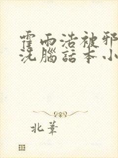 霍雨浩被邪魂师洗脑话本小说