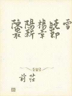 陈阳杨晓雪小说最新章节