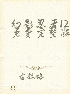 幻影忍者12季免费完整版