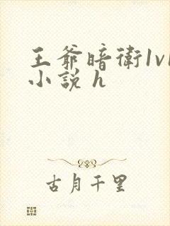 王爷暗卫1v1小说 h