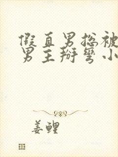 假直男总被言情男主掰弯小说