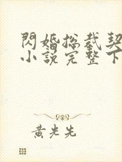 闪婚总裁契约妻小说完整下载