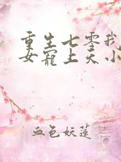 重生七零我把妻女宠上天小说