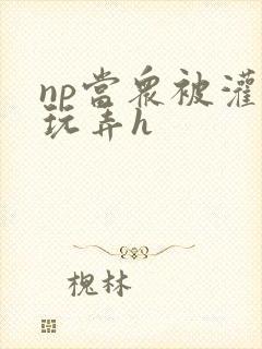 np当众被灌满玩弄h