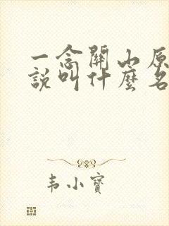 一念关山原著小说叫什么名字