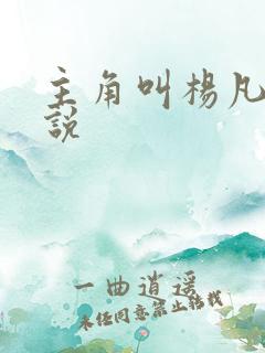 主角叫杨凡的小说