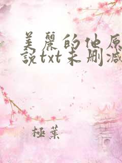 美丽的他原著小说txt未删减