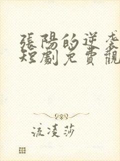 张阳的逆袭人生短剧免费观看