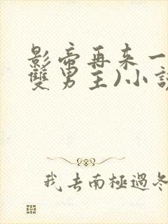 影帝再来一次(双男主)小说