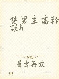 双男主高干文小说h