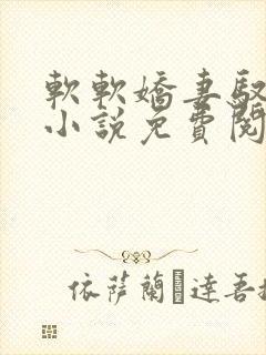 软软娇妻驭恶夫小说免费阅读